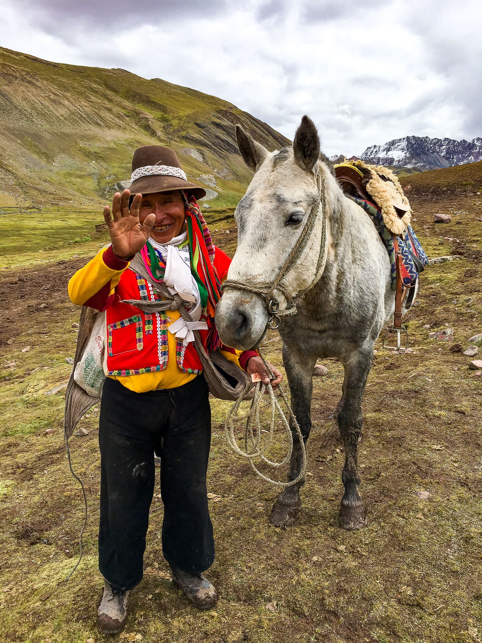 peru local and horse