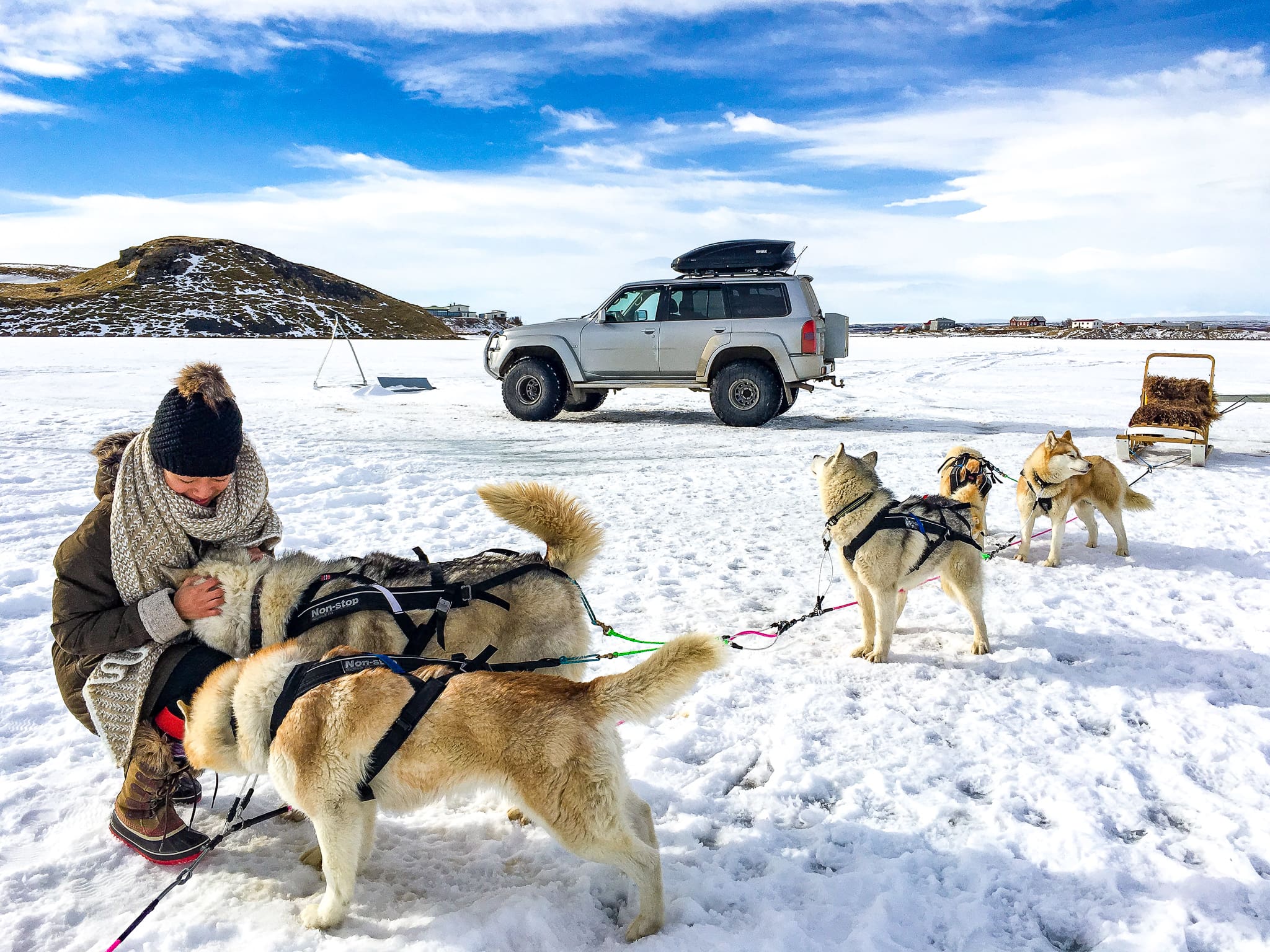 snow dogs 9
