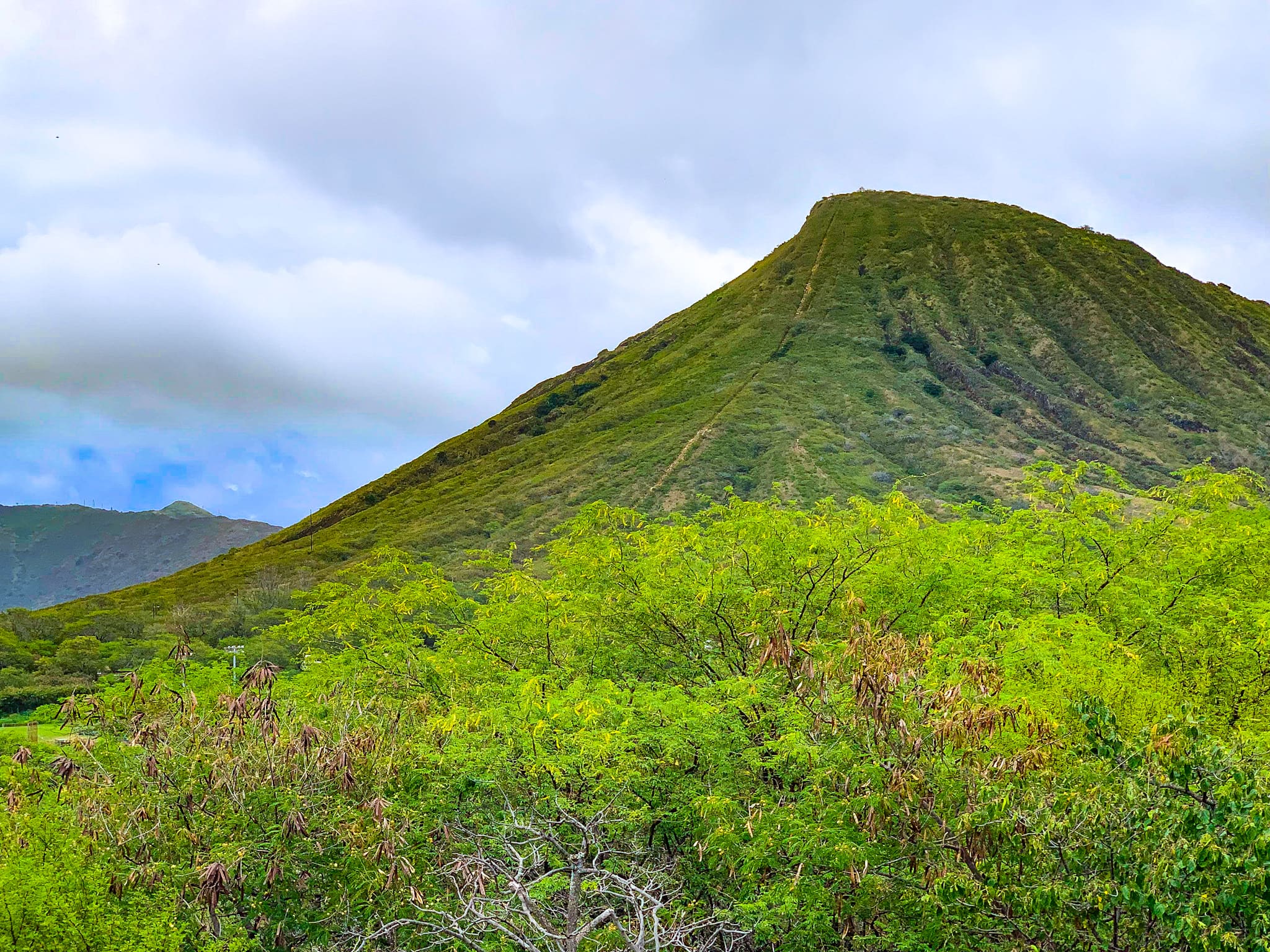 koko head crater summit