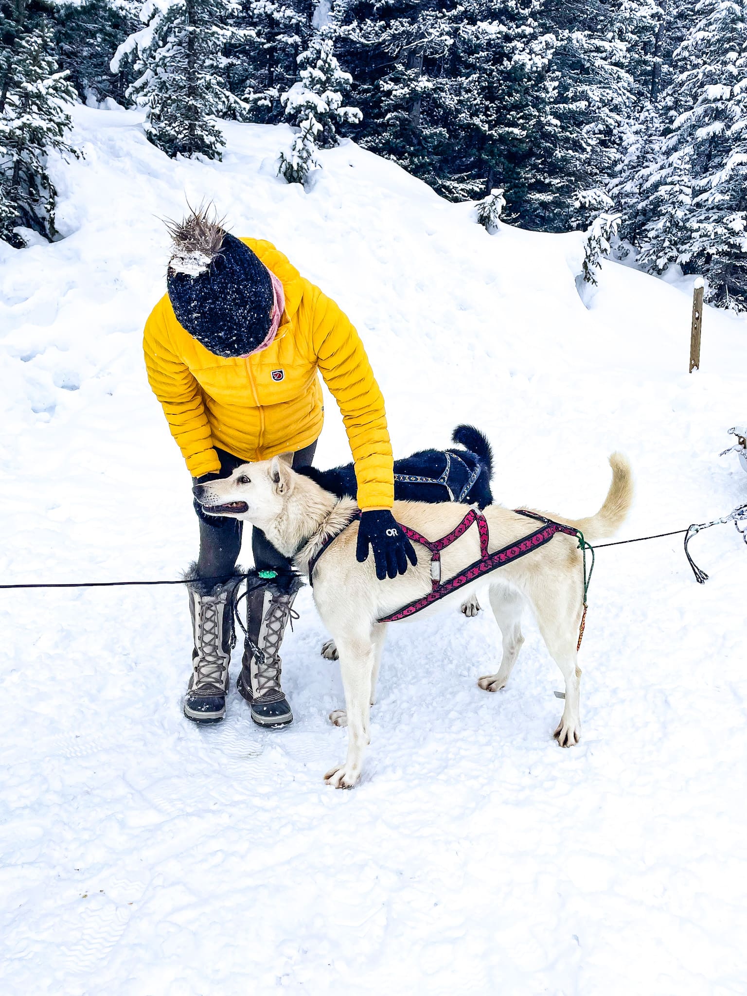 winter activities in banff